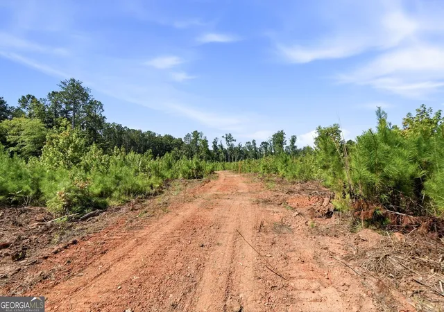 28th image of 722 Giles Rd, Forsyth, GA 31029 | MLS# 10824558