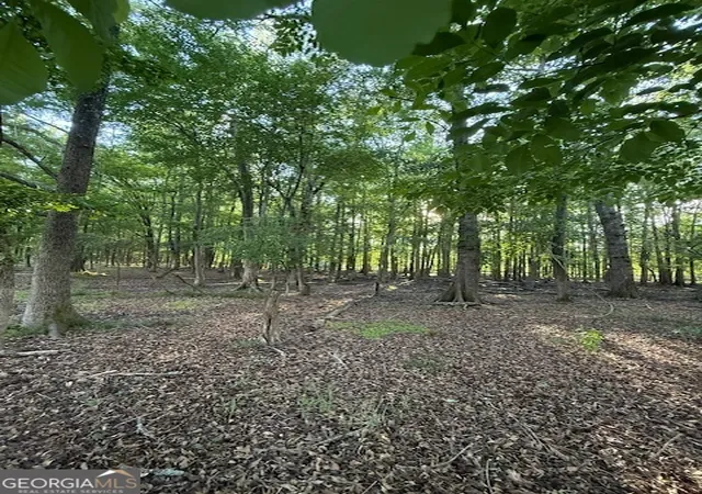 Photo 3 of Land for sale at Lot 2 S Of Redwine Rd #LOT 2 SOUTH OF 1585, Fayetteville, GA 30215 | MLS# 10805768 | Listing updated on 2026-08-29