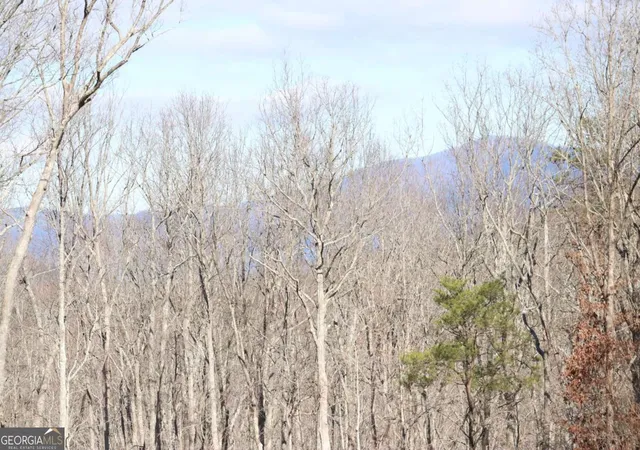 Photo 1 of Land for sale at 179 Trailwood Dr, Ellijay, GA 30536 | MLS# 10822192 | Listing updated on 2026-08-22