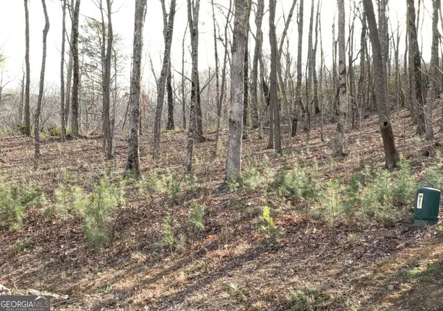 Photo 1 of Land for sale at 179 Trailwood Dr, Ellijay, GA 30536 | MLS# 10822192 | Listing updated on 2026-08-22