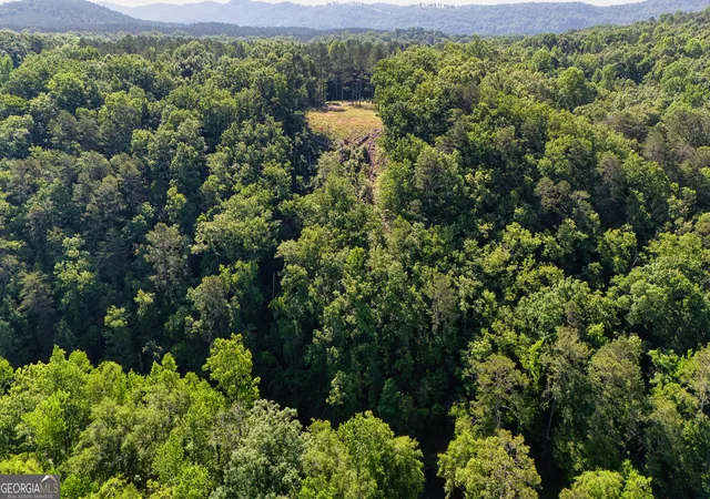 Homes for sale in Cedar Bluff, AL | 1450 County Rd 137, Cedar Bluff, AL 35959 | MLS# 10805009