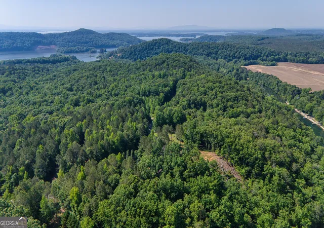 Homes for sale in Cedar Bluff, AL | 1450 County Rd 137, Cedar Bluff, AL 35959 | MLS# 10805009