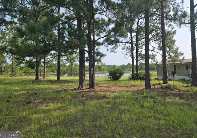 3rd image of 46 Tony Baker Ln, Garfield, GA 30425 | MLS# 10816611