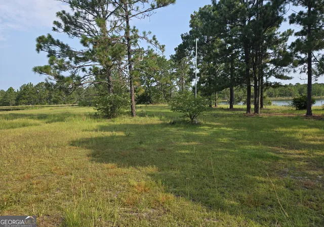 4th image of 46 Tony Baker Ln, Garfield, GA 30425 | MLS# 10816611