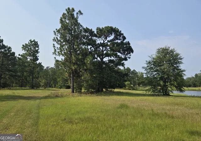 50th image of 46 Tony Baker Ln, Garfield, GA 30425 | MLS# 10816611