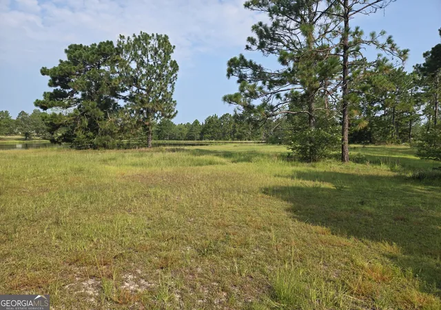 5th image of 46 Tony Baker Ln, Garfield, GA 30425 | MLS# 10816611