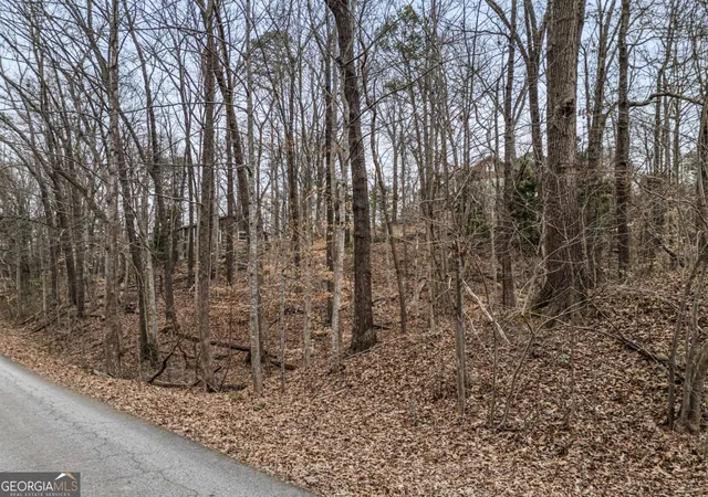 Photo 3 of Land for sale at 91 Remsdale St #9, Toccoa, GA 30577 | MLS# 10810144 | Listing updated on 2026-08-04