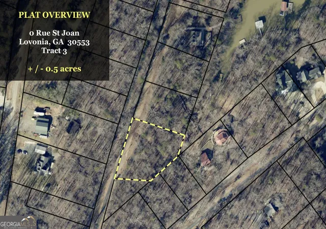 Homes for sale in Lavonia, GA | 0 Rue St Joan, Lavonia, GA 30553 | MLS# 10775657