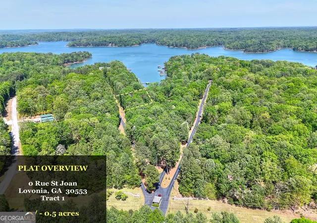 Homes for sale in Lavonia, GA | 0 Rue St Joan, Lavonia, GA 30553 | MLS# 10775657