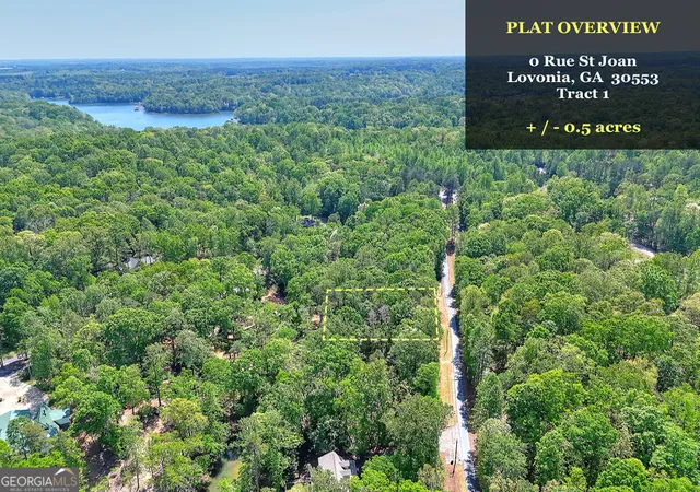 Homes for sale in Lavonia, GA | 0 Rue St Joan, Lavonia, GA 30553 | MLS# 10775657