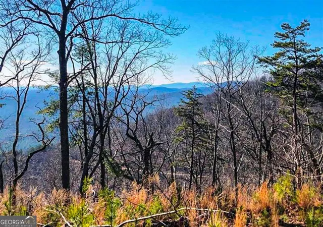 3rd image of 0 Coopers Gap Rd, Dahlonega, GA 30533 | MLS# 10709767