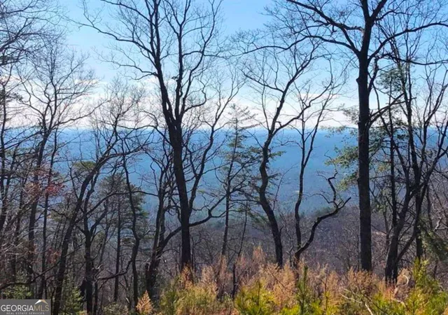 4th image of 0 Coopers Gap Rd, Dahlonega, GA 30533 | MLS# 10709767
