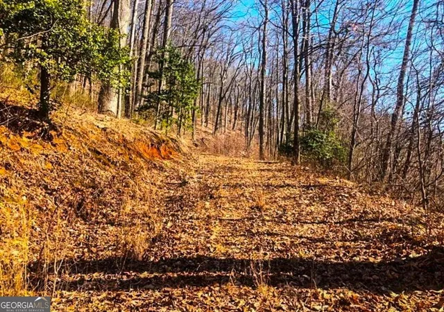 5th image of 0 Coopers Gap Rd, Dahlonega, GA 30533 | MLS# 10709767