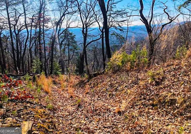 8th image of 0 Coopers Gap Rd, Dahlonega, GA 30533 | MLS# 10709767