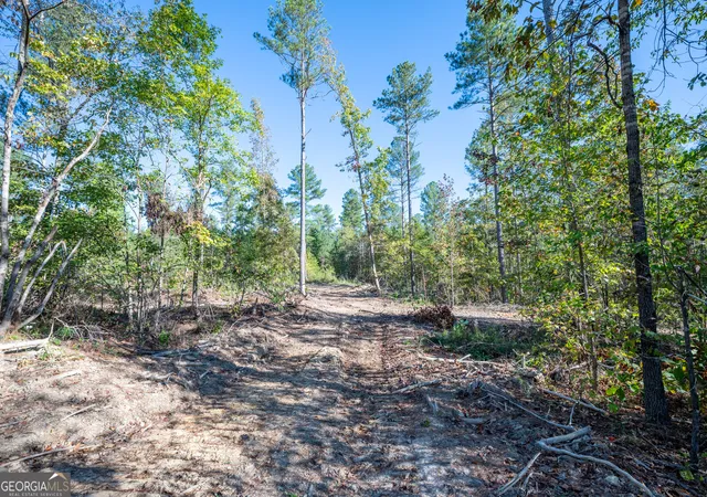 Photo 2 of Land for sale at 3863 Hwy 140 Ne, Rydal, GA 30171 | MLS# 10632098 | Listing updated on 2025-12-13