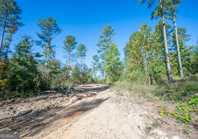 Photo 3 of Land for sale at 3863 Hwy 140 Ne, Rydal, GA 30171 | MLS# 10632098 | Listing updated on 2025-12-13