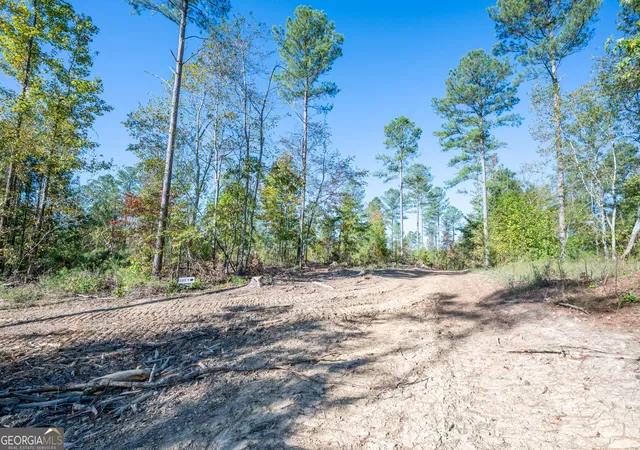 Photo 3 of Land for sale at 3863 Hwy 140 Ne, Rydal, GA 30171 | MLS# 10632098 | Listing updated on 2025-12-13