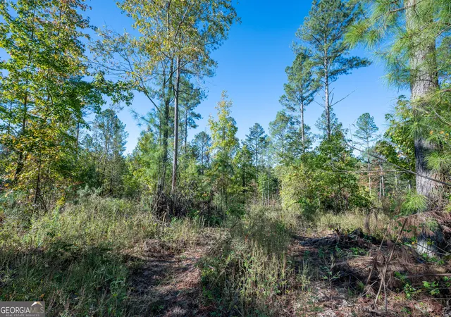 Photo 4 of Land for sale at 3863 Hwy 140 Ne, Rydal, GA 30171 | MLS# 10632098 | Listing updated on 2025-12-13