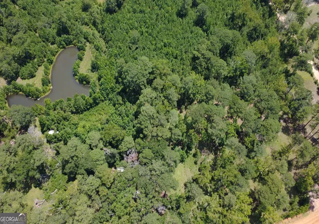 2nd image of 807 Aden Lanier Rd, Statesboro, GA 30458 | MLS# 10819983