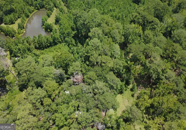 3rd image of 807 Aden Lanier Rd, Statesboro, GA 30458 | MLS# 10819983