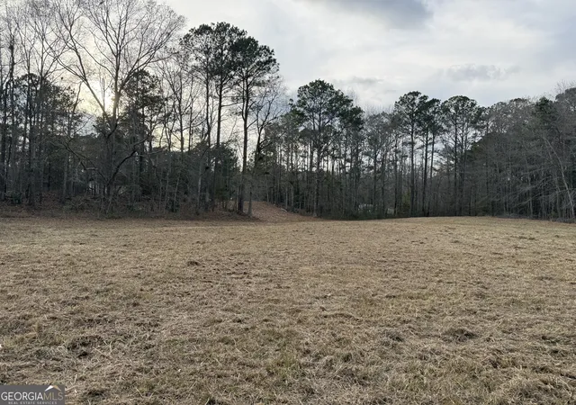 2nd image of 283 Acres Williams Rd, Shiloh, GA 31826 | MLS# 10669876