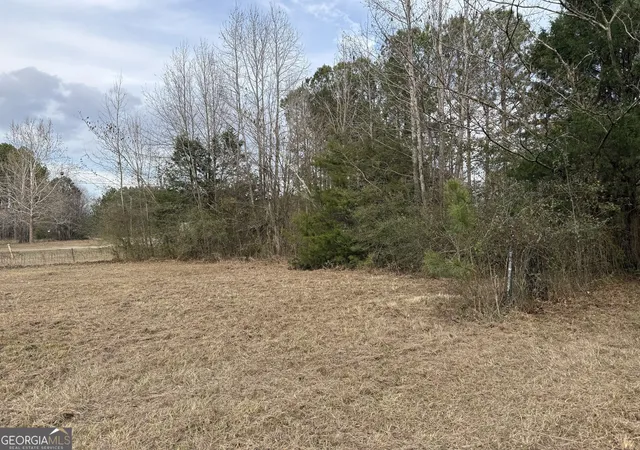 3rd image of 283 Acres Williams Rd, Shiloh, GA 31826 | MLS# 10669876