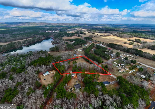 4th image of 283 Acres Williams Rd, Shiloh, GA 31826 | MLS# 10669876