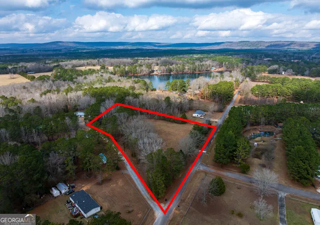 5th image of 283 Acres Williams Rd, Shiloh, GA 31826 | MLS# 10669876