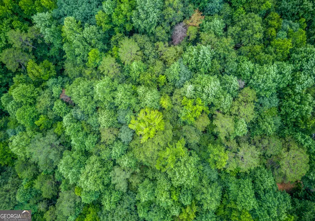 31st image of 3358 Eberhart Cemetery Rd, Gainesville, GA 30507 | MLS# 10803962
