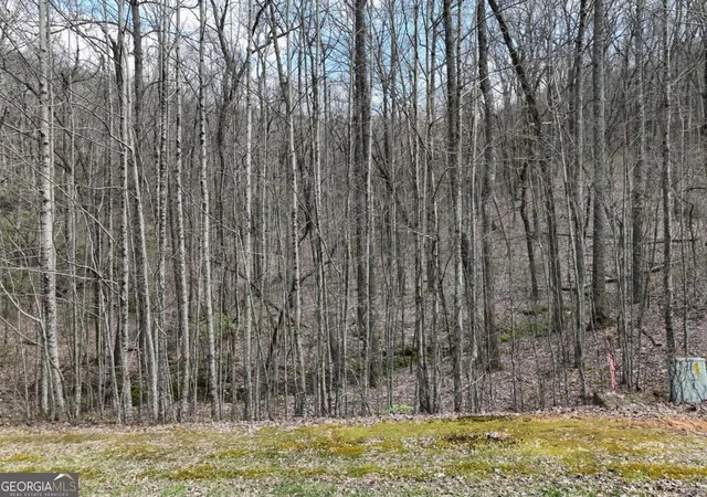 Photo 1 of Land for sale at 64 St Andrews Way, Ellijay, GA 30536 | MLS# 10787027 | Listing updated on 2026-10-27