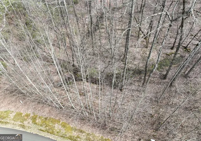 Photo 3 of Land for sale at 64 St Andrews Way, Ellijay, GA 30536 | MLS# 10787027 | Listing updated on 2026-10-27
