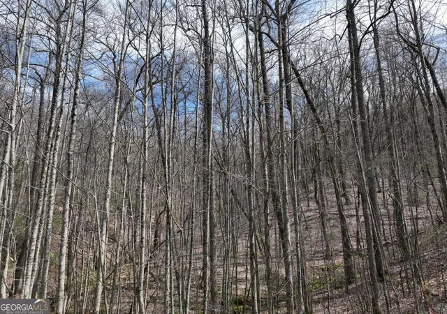 Photo 4 of Land for sale at 64 St Andrews Way, Ellijay, GA 30536 | MLS# 10787027 | Listing updated on 2026-10-27