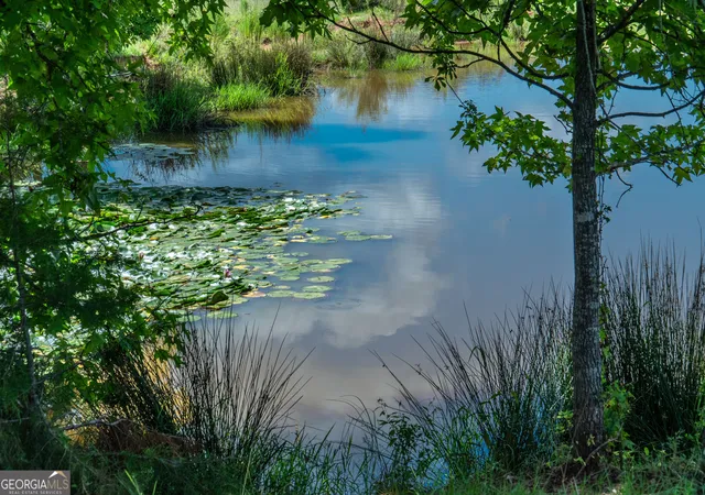 Photo 2 of Sale Pending at 0 Hines Rd, Hogansville, GA 30230 | MLS# 10836097 | Listing updated on 2026-09-08