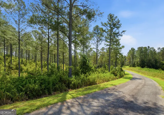 17th image of Lot 28 Hillside Ln, Ellijay, GA 30540 | MLS# 10827729
