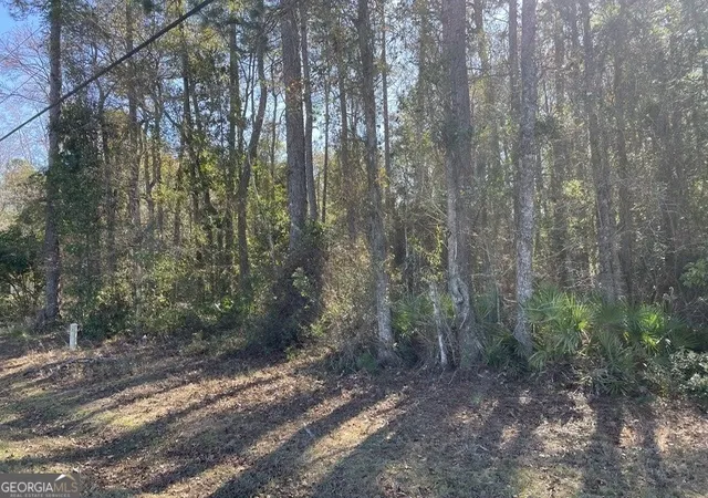 Homes for sale in Kingsland, GA | Lot 4 W King Ave, Kingsland, GA 31548 | MLS# 10789750