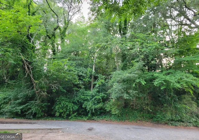 3rd image of 1019 Hubbard St Sw, Atlanta, GA 30310 | MLS# 10347479