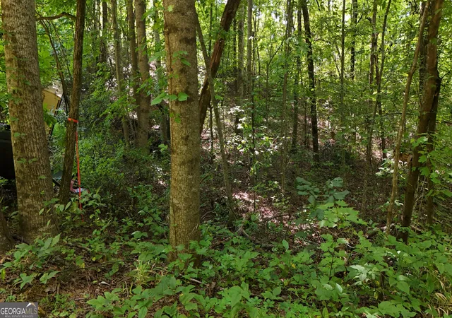 2nd image of Lot 195 Fern Valley Trl, Clarkesville, GA 30523 | MLS# 10830131