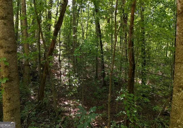 3rd image of Lot 195 Fern Valley Trl, Clarkesville, GA 30523 | MLS# 10830131