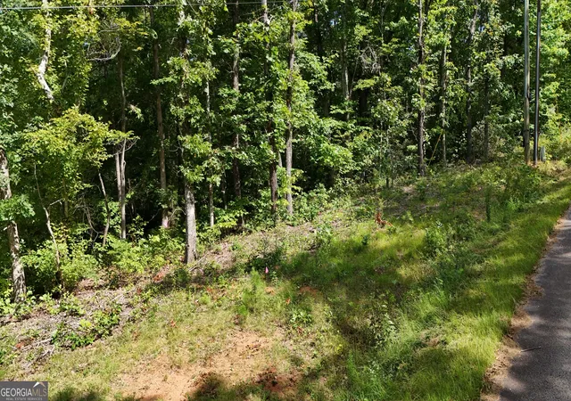 4th image of Lot 195 Fern Valley Trl, Clarkesville, GA 30523 | MLS# 10830131