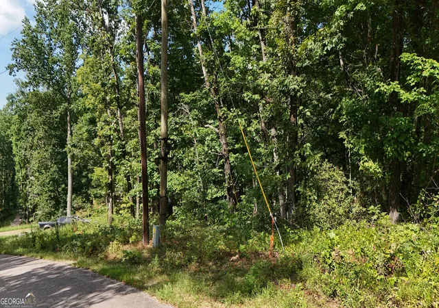 5th image of Lot 195 Fern Valley Trl, Clarkesville, GA 30523 | MLS# 10830131