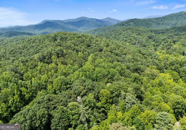 42nd image of 218 Hester Gap Rd, Cleveland, GA 30528 | MLS# 10794753