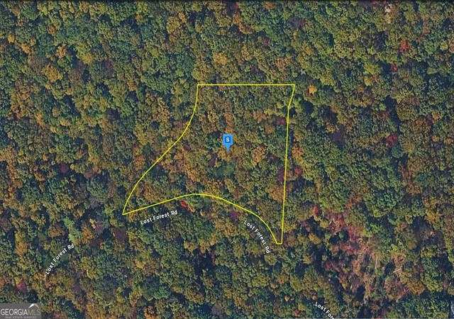 Photo 1 of Land for sale at 935 Lost Forest Rd, Ellijay, GA 30536 | MLS# 10805268 | Listing updated on 2026-10-16