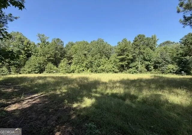 Photo 3 of Land for sale at 0 Kendricks Ml Rd, Crawfordville, GA 30631 | MLS# 10821651 | Listing updated on 2026-08-21