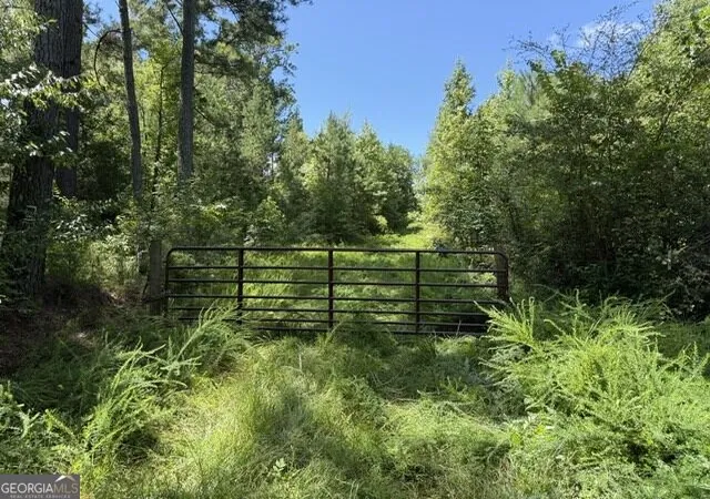 54th image of 0 Kendricks Mill Rd, Crawfordville, GA 30631 | MLS# 10821651