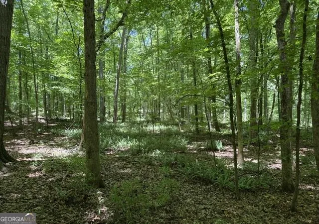 Photo 4 of Land for sale at 0 Kendricks Ml Rd, Crawfordville, GA 30631 | MLS# 10821651 | Listing updated on 2026-08-21