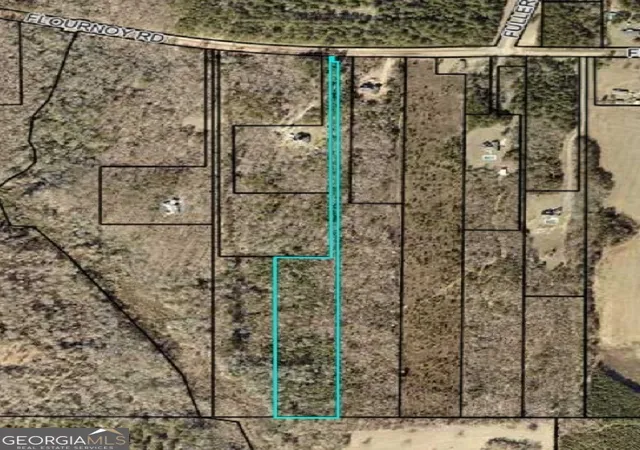 Homes for sale in Hawkinsville, GA | 0 Flournoy Rd, Hawkinsville, GA 31036 | MLS# 10765597