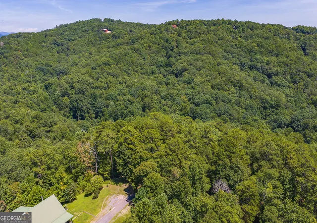 4th image of 694-695 Railey Rdg #694-695, Ranger, GA 30734 | MLS# 10829792