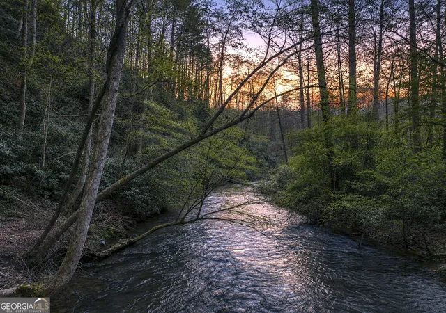 4th image of 58 River Rd, Cherry Log, GA 30522 | MLS# 10812042