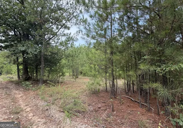 Photo 2 of Land for sale at 0 Smith Mill Rd, Monticello, GA 31064 | MLS# 10835782 | Listing updated on 2026-10-03