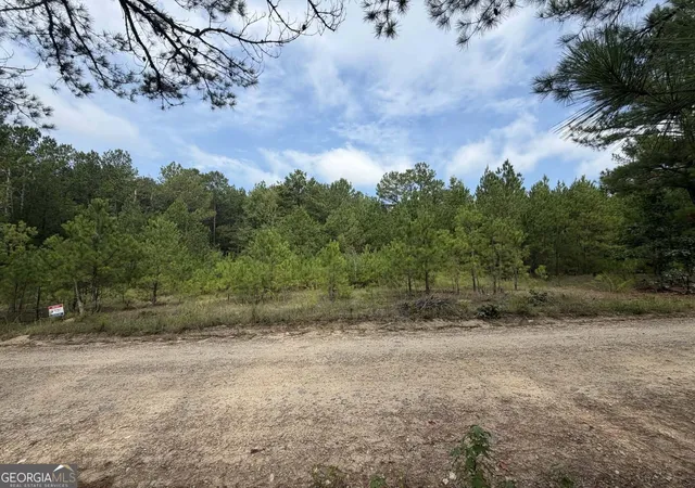 Photo 4 of Land for sale at 0 Smith Mill Rd, Monticello, GA 31064 | MLS# 10835782 | Listing updated on 2026-10-03